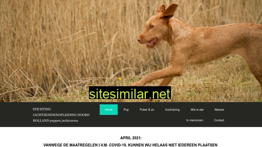 puppyjachtcursusnoordholland.nl alternative sites