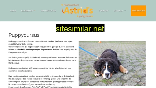 puppyclass.nl alternative sites