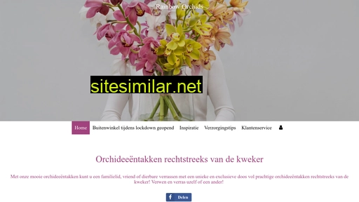 Rainboworchids similar sites