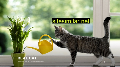 realcat.nl alternative sites