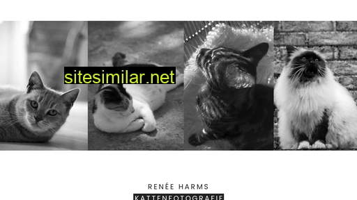 reneeharmskattenfotografie.nl alternative sites