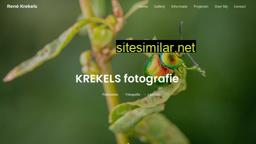 renekrekels.nl alternative sites