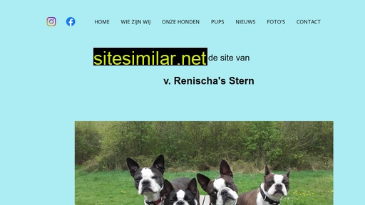 renischasstern.nl alternative sites