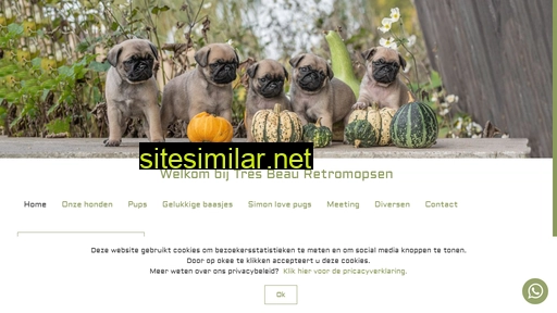 retromops.nl alternative sites