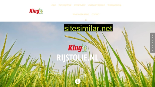 rijstolie.nl alternative sites