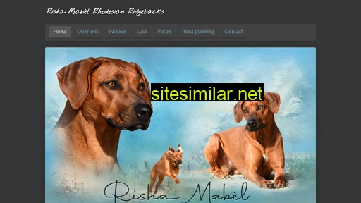 rishamabel.nl alternative sites