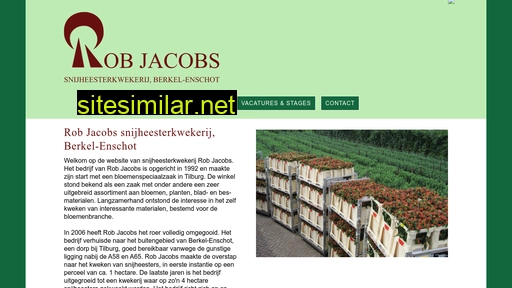 robjacobs-snijheesters.nl alternative sites