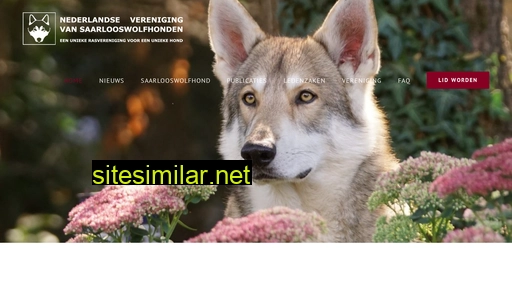 saarlooswolfhonden.nl alternative sites