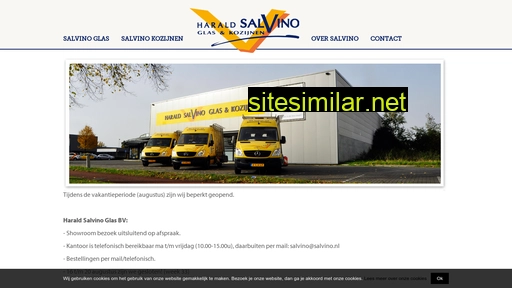 salvino.nl alternative sites