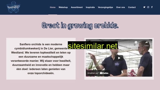 sanfiero.nl alternative sites