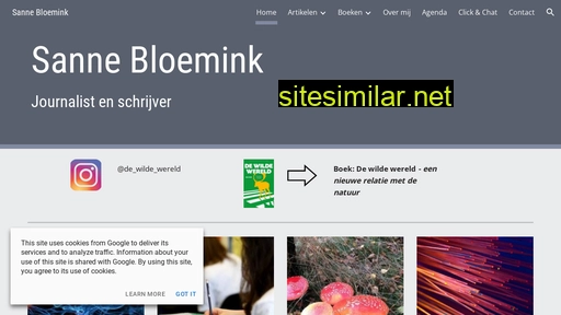 sannebloemink.nl alternative sites