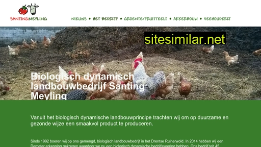 santing-meyling.nl alternative sites