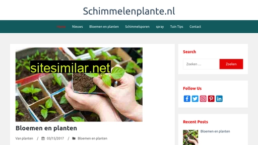 schimmelenplante.nl alternative sites