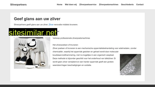 silverpartners.nl alternative sites