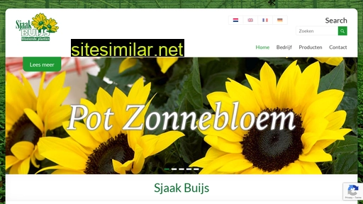 sjaakbuijs.nl alternative sites