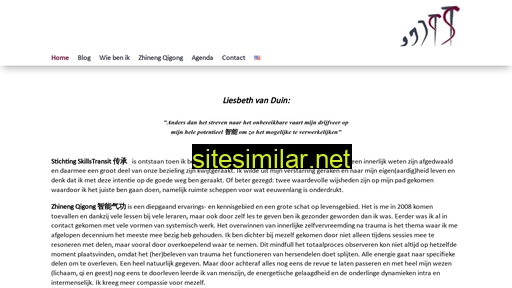 skillstransit.nl alternative sites
