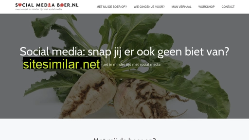 socialmediaboer.nl alternative sites