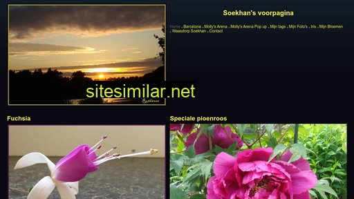 soekhan.nl alternative sites