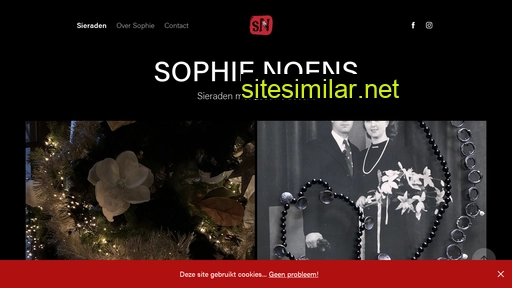 sophienoens.nl alternative sites