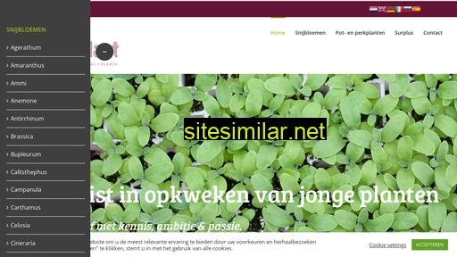 stars-plant.nl alternative sites