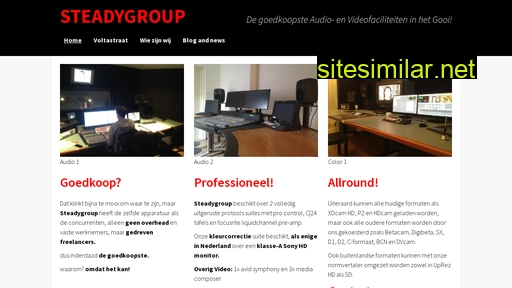 steadygroup.nl alternative sites