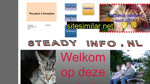 steadyinfo.nl alternative sites