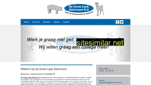 steinvoort.nl alternative sites