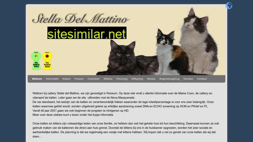 stelladelmattino.nl alternative sites