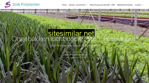 stolkpotplanten.nl alternative sites