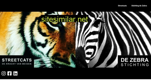 Streetcats similar sites