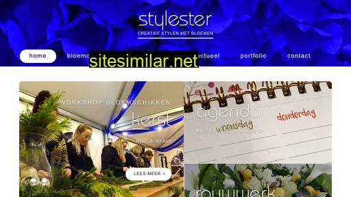 Stylester similar sites