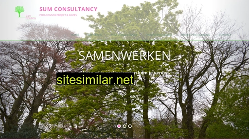 sumconsultancy.nl alternative sites