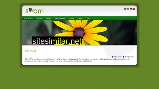 syam.nl alternative sites