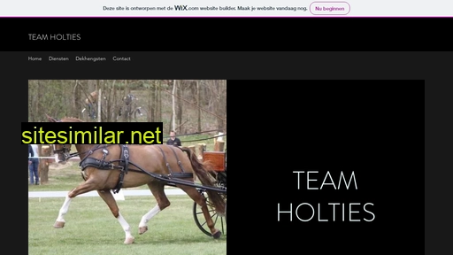 teamholties.nl alternative sites