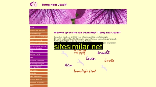 terugnaarjezelf.nl alternative sites