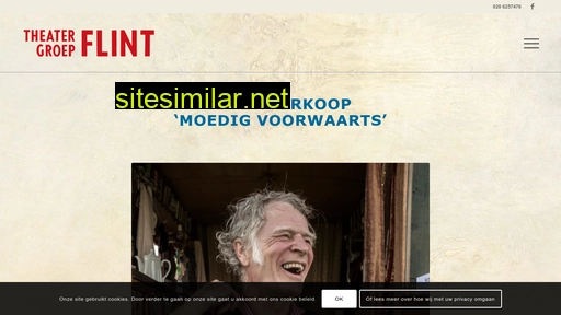 theatergroepflint.nl alternative sites