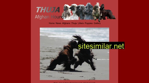 thuja-afghans.nl alternative sites