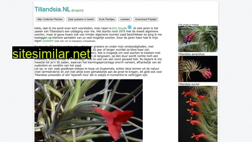 tillandsia.nl alternative sites
