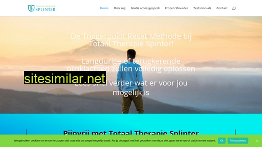totaaltherapiesplinter.nl alternative sites