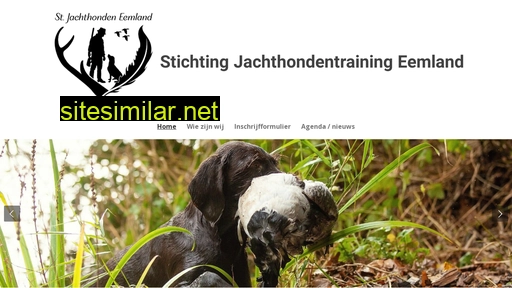 trainingsgroepeemland.nl alternative sites