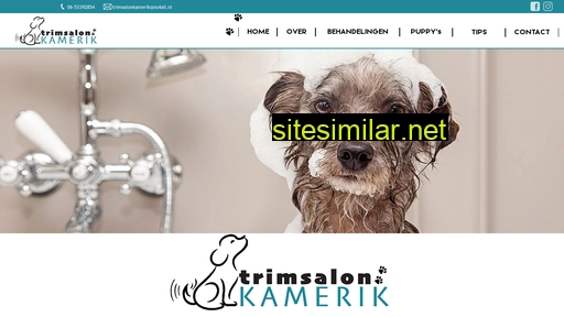 trimsalonkamerik.nl alternative sites