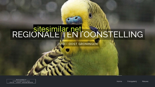 ttzuidoostgroningen.nl alternative sites