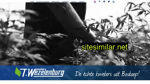twezelenburg.nl alternative sites