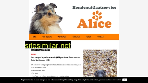 uitlaatservice-alice.nl alternative sites
