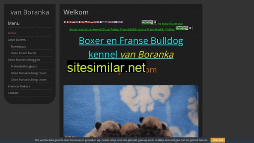 vanboranka.nl alternative sites