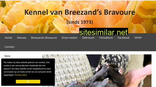 vanbreezandsbravoure.nl alternative sites