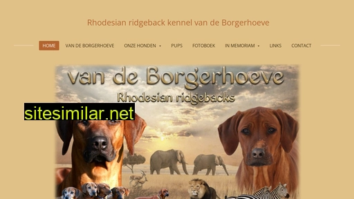 vandeborgerhoeve.nl alternative sites