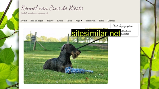 vanervederieste.nl alternative sites
