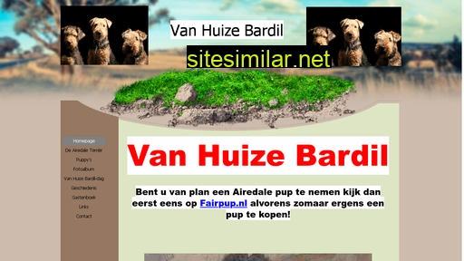 vanhuizebardil.nl alternative sites