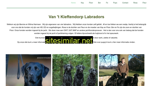 Van-t-kieftendorp-labradors similar sites